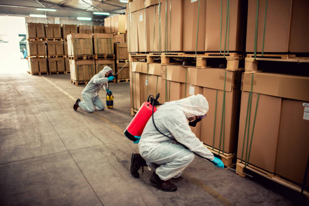Best Flea Control Services  in Englishtown, NJ