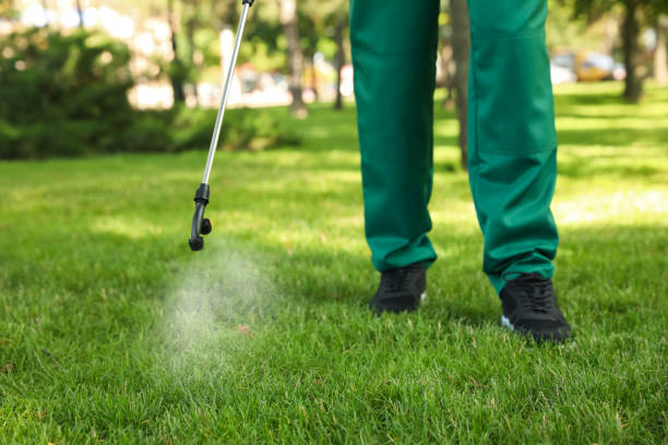 Trusted Englishtown, NJ Pest Control Experts