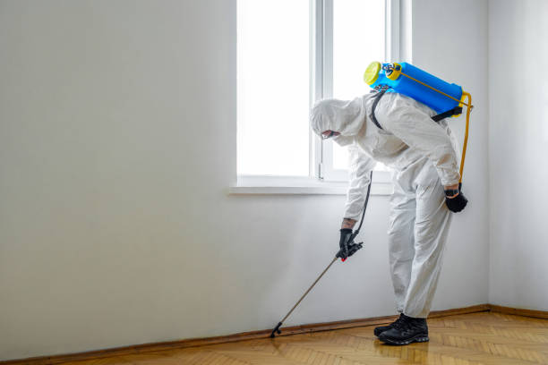 Best Wildlife Control Services  in Englishtown, NJ