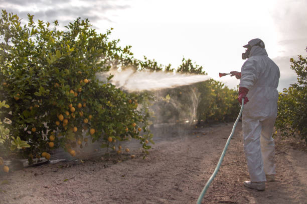 Best Mosquito Control Services  in Englishtown, NJ
