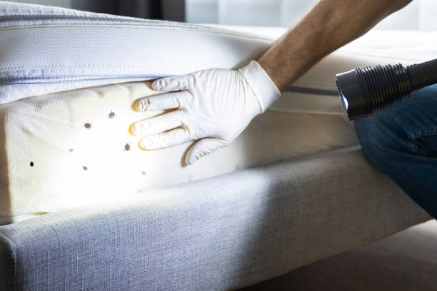 Best Best Pest Control Companies  in Englishtown, NJ