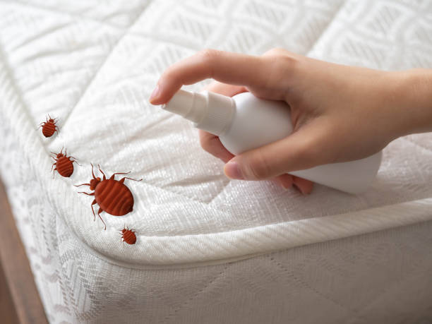 Best Insect Control  in Englishtown, NJ