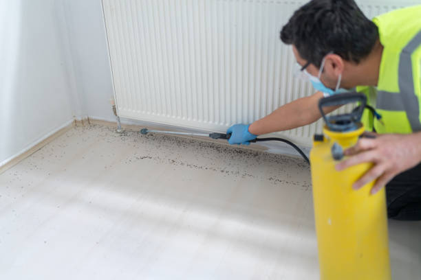 Best Pest Prevention Services  in Englishtown, NJ